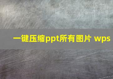 一键压缩ppt所有图片 wps